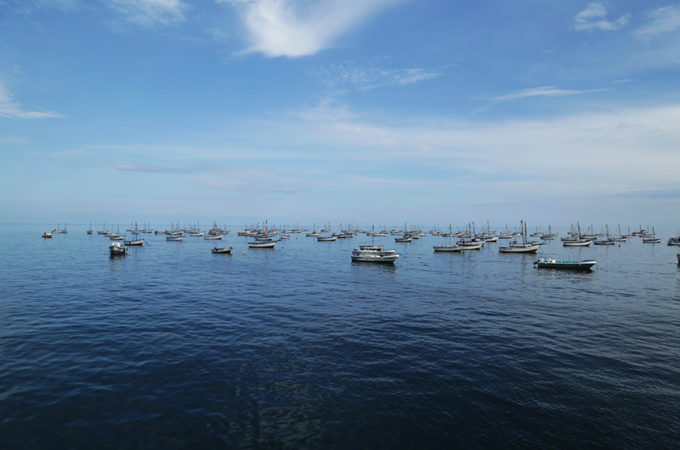 Mar del Per���